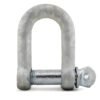 Commercial D Shackle