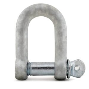 Commercial D Shackle