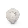 Honeywell H919 N95 Mask