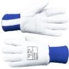 Ice Pro leather freezer gloves